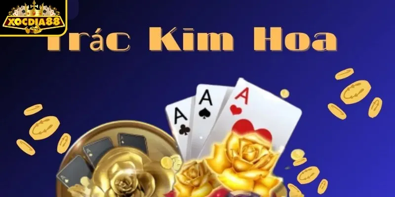 Luật chơi Trác Kim Hoa cơ bản dễ hiểu dễ nhập cuộc