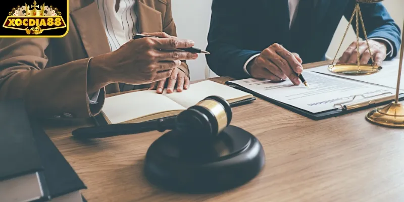 Quy định sử dụng và cam kết dịch vụ